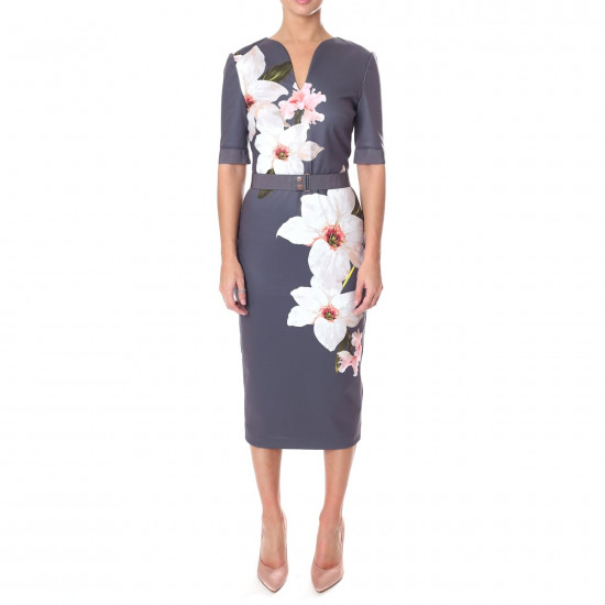 Ted Baker Bisslee Chatsworth Floral Print Bodycon Dress
